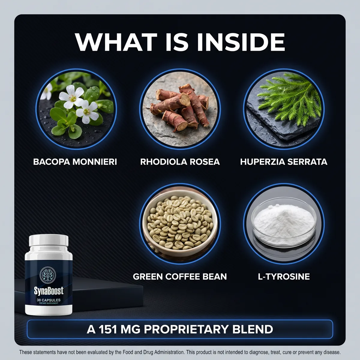 SynaBoost botanical ingredients including Bacopa monnieri, Rhodiola rosea and Huperzia serrata